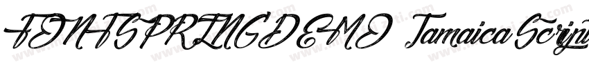FONTSPRINGDEMO JamaicaScriptRegular字体转换